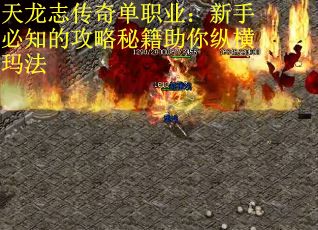 天龙志传奇单职业：新手必知的攻略秘籍助你纵横玛法