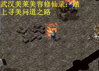 武汉美莱美容修仙录：踏上寻美问道之路