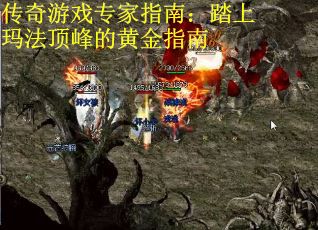 传奇游戏专家指南：踏上玛法顶峰的黄金指南