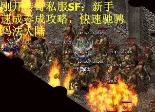 刚开传奇私服SF：新手速成养成攻略，快速驰骋玛法大陆