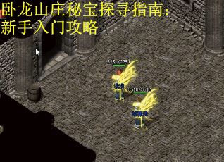 卧龙山庄秘宝探寻指南：新手入门攻略