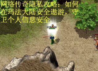网络传奇隐私攻略：如何在玛法大陆安全遨游，守卫个人信息安全