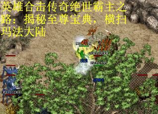英雄合击传奇绝世霸主之路：揭秘至尊宝典，横扫玛法大陆