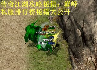 传奇江湖攻略秘籍：巅峰私服排行榜秘籍大公开