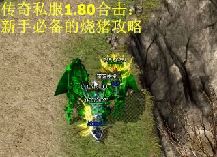 传奇私服1.80合击：新手必备的烧猪攻略