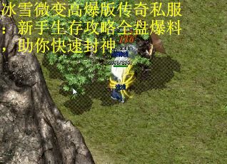 冰雪微变高爆版传奇私服：新手生存攻略全盘爆料，助你快速封神