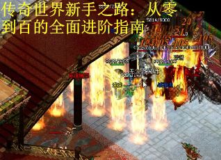 传奇世界新手之路：从零到百的全面进阶指南