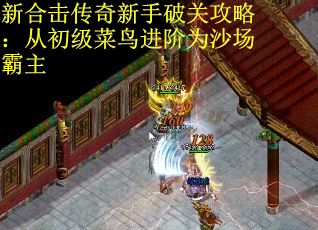 新合击传奇新手破关攻略：从初级菜鸟进阶为沙场霸主