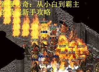新服传奇：从小白到霸主的最强新手攻略