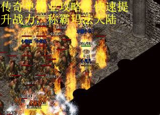 传奇单职业攻略：快速提升战力，称霸玛法大陆