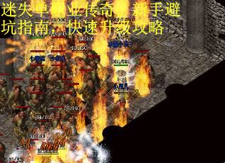迷失单职业传奇：新手避坑指南，快速升级攻略