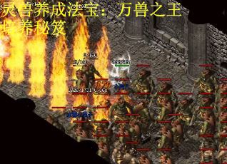 灵兽养成法宝：万兽之王培养秘笈