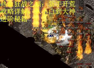 热血狂战之巅：新手开荒攻略详解，从小白到大神进阶秘籍