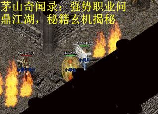 茅山奇闻录：强势职业问鼎江湖，秘籍玄机揭秘