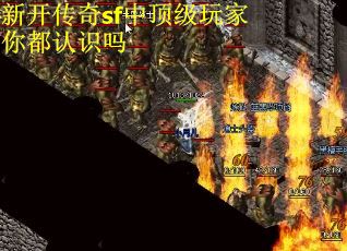 新开传奇sf中顶级玩家你都认识吗