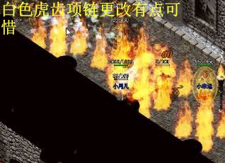 白色虎齿项链更改有点可惜