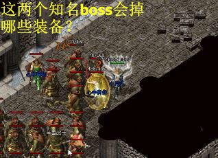 这两个知名boss会掉哪些装备？
