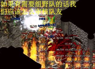 如果有需要组野队的话我们应该怎么审核队友