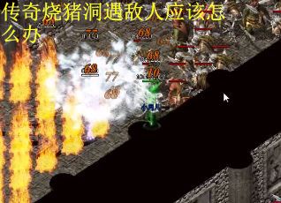 传奇烧猪洞遇敌人应该怎么办