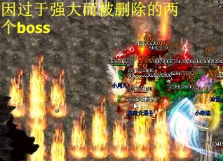 因过于强大而被删除的两个boss