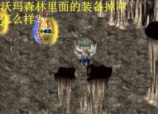 沃玛森林里面的装备掉率怎么样？