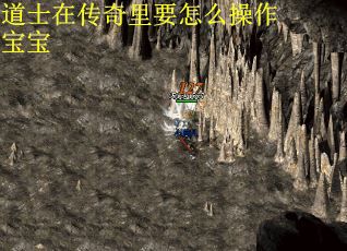 道士在传奇里要怎么操作宝宝