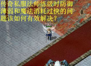 传奇私服法师练级时防御薄弱和魔法消耗过快的问题该如何有效解决？