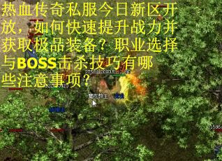 热血传奇私服今日新区开放，如何快速提升战力并获取极品装备？职业选择与BOSS击杀技巧有哪些注意事项？