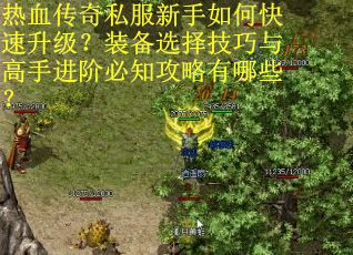热血传奇私服新手如何快速升级？装备选择技巧与高手进阶必知攻略有哪些？