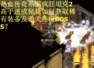 热血传奇私服疯狂坦克2高手速成秘籍如何获取稀有装备及通关终极BOSS？