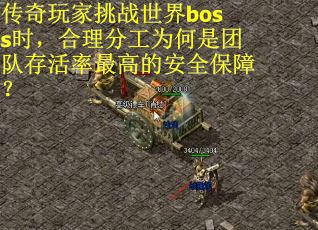 传奇玩家挑战世界boss时，合理分工为何是团队存活率最高的安全保障？