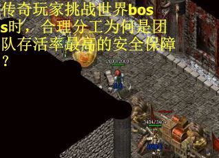 传奇玩家挑战世界boss时，合理分工为何是团队存活率最高的安全保障？