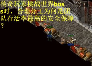 传奇玩家挑战世界boss时，合理分工为何是团队存活率最高的安全保障？