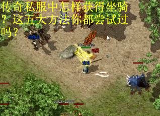 传奇私服中怎样获得坐骑？这五大方法你都尝试过吗？
