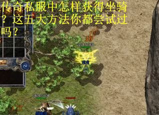 传奇私服中怎样获得坐骑？这五大方法你都尝试过吗？