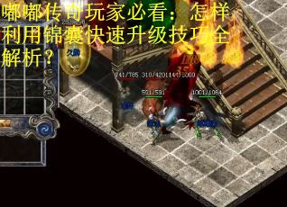 嘟嘟传奇玩家必看：怎样利用锦囊快速升级技巧全解析？