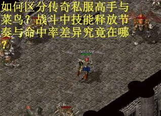 如何区分传奇私服高手与菜鸟？战斗中技能释放节奏与命中率差异究竟在哪？