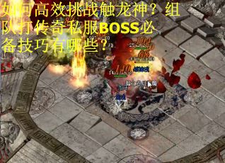 如何高效挑战触龙神？组队打传奇私服BOSS必备技巧有哪些？