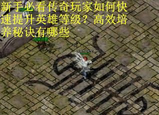 新手必看传奇玩家如何快速提升英雄等级？高效培养秘诀有哪些