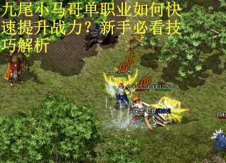 九尾小马哥单职业如何快速提升战力？新手必看技巧解析