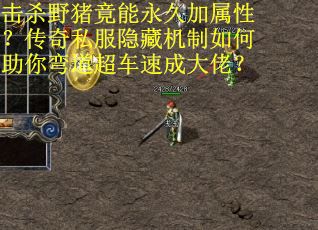 击杀野猪竟能永久加属性？传奇私服隐藏机制如何助你弯道超车速成大佬？