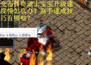 变态传奇道士宝宝升级速度慢怎么办？高手速成技巧有哪些？