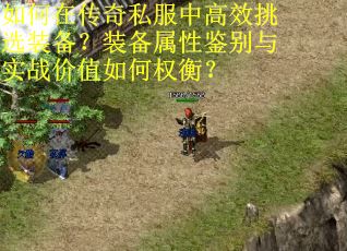 如何在传奇私服中高效挑选装备？装备属性鉴别与实战价值如何权衡？