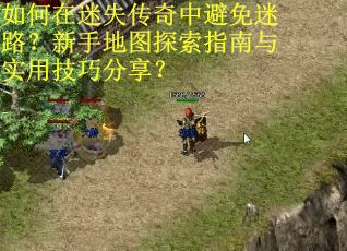 如何在迷失传奇中避免迷路？新手地图探索指南与实用技巧分享？