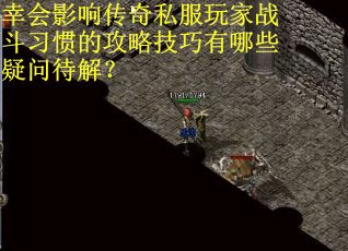 幸会影响传奇私服玩家战斗习惯的攻略技巧有哪些疑问待解？
