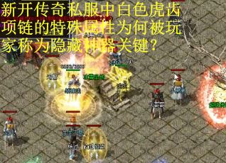 新开传奇私服中白色虎齿项链的特殊属性为何被玩家称为隐藏神器关键？