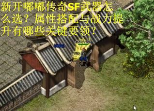 新开嘟嘟传奇SF武器怎么选？属性搭配与战力提升有哪些关键要领？