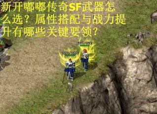 新开嘟嘟传奇SF武器怎么选？属性搭配与战力提升有哪些关键要领？