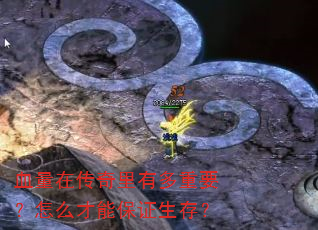 血量在传奇里有多重要?怎么才能保证生存? 血量在传奇里有多重要?怎么才能保证生存?
