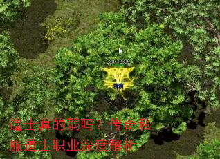 ʿ𣿴˽ʿְҵȽ